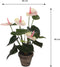 Mica Decorations Anthurium - Kunstplant - 40 cm - lichtroze in grijze pot