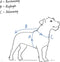 Puppia Soft Vest Harness - Hondentuig - Verstelbare buikriem - Rood - M