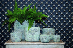 PTMD Ora Ovale Bloempot - 20 x 10 x 18 cm - Cement - Lichtgroen