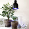 Parus by Venso E27 Kweeklamp