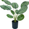 Emerald - Kunstplant in pot Calathea Orbifolia 45cm - Kunstplanten voor binnen