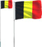 vidaXL - Vlag - met - vlaggenmast - België - 5,55 - m - aluminium