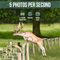 STREX SP48 - Wildlife Camera - 4K ULTRA HD 120MP - Groen