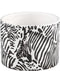 PTMD Zibra Ronde Bloempot - H9,5 x Ø12,5 cm - Keramiek - Wit