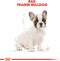 Royal Canin French Bulldog Junior 3 KG