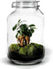Growing Concepts DIY Duurzaam Ecosysteem Weckpot 5L - Planten - Calathea - H28xØ18cm