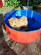 Dierenzwembad - Ø80x30cm - Opvouwbaar - Rood/Blauw