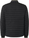 No Excess Jacket - Gewatteerd - Regular fit met ribkraag - Zwart