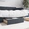 vidaXL - Opberglades - bed - 2 - st - bewerkt - hout - en - fluweel - donkergrijs