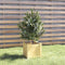 vidaXL - Plantenbak - 31x31x31 - cm - massief - grenenhout