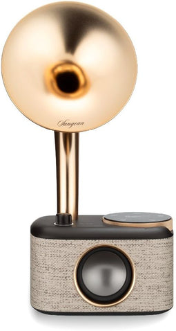 Sangean CP-100D - Retro Digitale Radio DAB+/FM/BT/AUX - Zwart/Goud