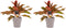 Decorum Duo 2 x Aglaonema Crete met Anna taupe – ↨ 25cm – ⌀ 12cm