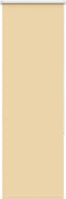 vidaXL - Rolgordijn - verduisterend - 40x130cm - stofbreedte - 35,7 - cm - polyester