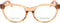 Brillenframe Dames Bottega Veneta BV-306-TH4 Bruin