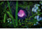 Pontec 87989 PondoFog RGB Waterspelen
