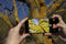 OnePlus 9 Pro - Smartphone - 256 GB - 12 GB RAM - Groen