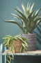 Mica Decorations Atlantic Plantenmand - Set van 2 - H26 x Ø30 cm - Lichtbruin (2 stuks)