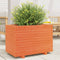 vidaXL - Plantenbak - 70x40x49,5 - cm - massief - grenenhout - wasbruin