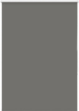 vidaXL - Rolgordijn - verduisterend - 105x175 - cm - stofbreedte - 100,7 - cm - grijs