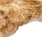 vidaXL - Vloerkleed - 60x90 - cm - schapenvacht - gemêleerd - bruin