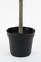 Mica Decorations Laurierboom Kunstplant - H120 x Ø40 cm - Groen