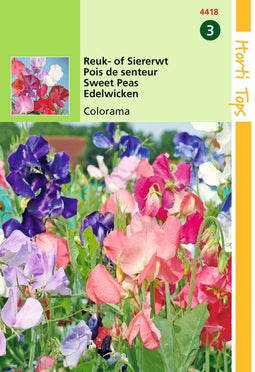 2 stuks - Hortitops - Lathyrus multiflora Colorama gemengd