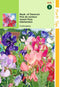 2 stuks - Hortitops - Lathyrus multiflora Colorama gemengd