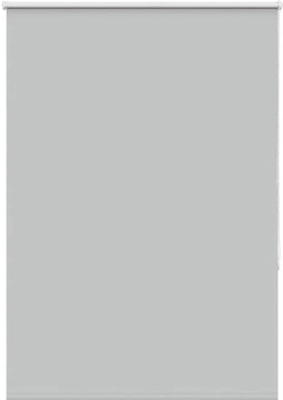 vidaXL - Rolgordijn - verduisterend - 105x175 - cm - stofbreedte - 100,7 - cm