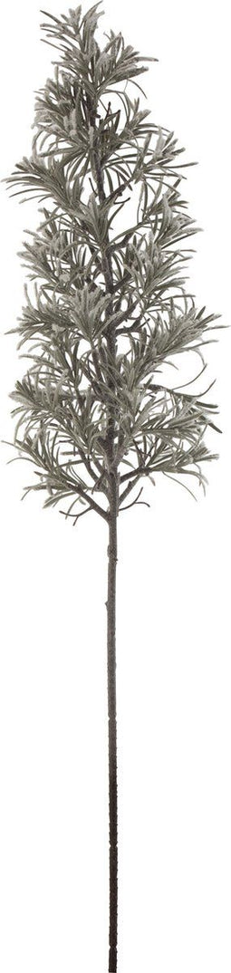 J-Line decoratie Tak Den Besneeuwd - kunststof - groen - large