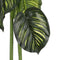 Mica Decorations Caladium - Kunstplant in Bloempot - H100 x Ø50 cm - Groen
