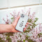 iPhone 11 Hoesje Siliconen - iMoshion Design hoesje - Transparant / Zwart / Live Laugh Love