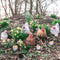 Tuinfiguur broedende kip met kuikens | wit | 19 cm
