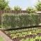 vidaXL - Plantenklimrekken - 3 - st - U-frame - staal