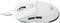 Havit MS969 WB muis Gamen Rechtshandig RF Wireless + Bluetooth + USB Type-C Optisch 16000 DPI