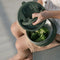 Citron Voedselbewaarpotje - 250ml - Ø10xH7cm - Green