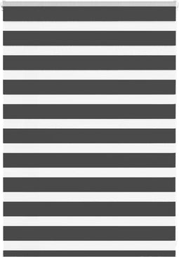vidaXL - Zebra - rolgordijn - 115x100 - cm - stofbreedte - 110,9 - cm - zwart