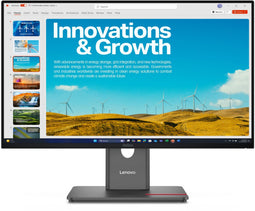 Lenovo ThinkVision P24QD-40 - Beeldscherm 23.8" - Quad HD 2560x1440 - Zwart