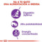 Royal Canin Sensible 33 - Kattenvoer - 4 kg