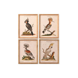 Schilderij Home ESPRIT Beige Tropisch 40 x 2 x 50 cm (4 Stuks)