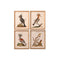 Schilderij Home ESPRIT Beige Tropisch 40 x 2 x 50 cm (4 Stuks)