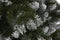 Kerstboom Home ESPRIT Groen Metaal Polyethyleen Besneeuwd 110 x 110 x 150 cm
