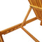 vidaXL - Ligbed - met - Kussen - 200x55x30 - cm - Massief - Acaciahout