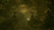 THQ Nordic Alone in the Dark (2024) - PC Game - Psychologische horror - Windows