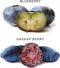 Haskapa 100% Natural Freeze-dried Organic Haskap Berry Powder - Superfood Berry Powder - High in