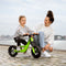 BERG Biky Mini Green Loopfiets - 10 inch - Lichtgewicht frame van magnesium - 2 tot 5 jaar - Groen