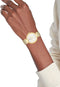 Tommy Hilfiger TH1782694 SOPHIA Dames Horloge - Mineraalglas - Staal - Goudkleurig - 36 mm breed - Quartz - Druksluiting - 3 ATM (spatwater)