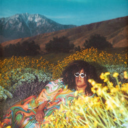 Brittany Howard - What Now - LP - Standard Edition