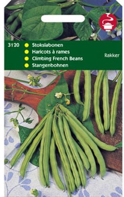 Stokslabonen Rakker vroeg