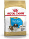 Royal Canin Shih Tzu Junior 1.5 KG
