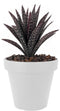 Pro Garden Plantenpot/bloempot Terras Master- dubbelwandig kunststof - wit - D60 x H55 cm - Voor buiten